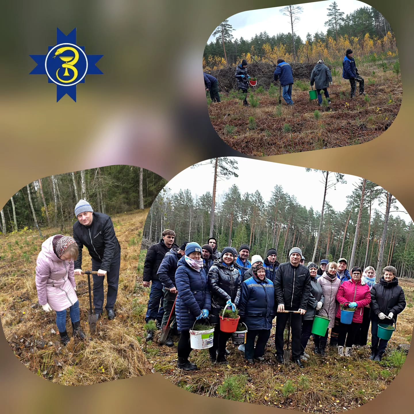 Акция “Дай лесу новае жыцце”